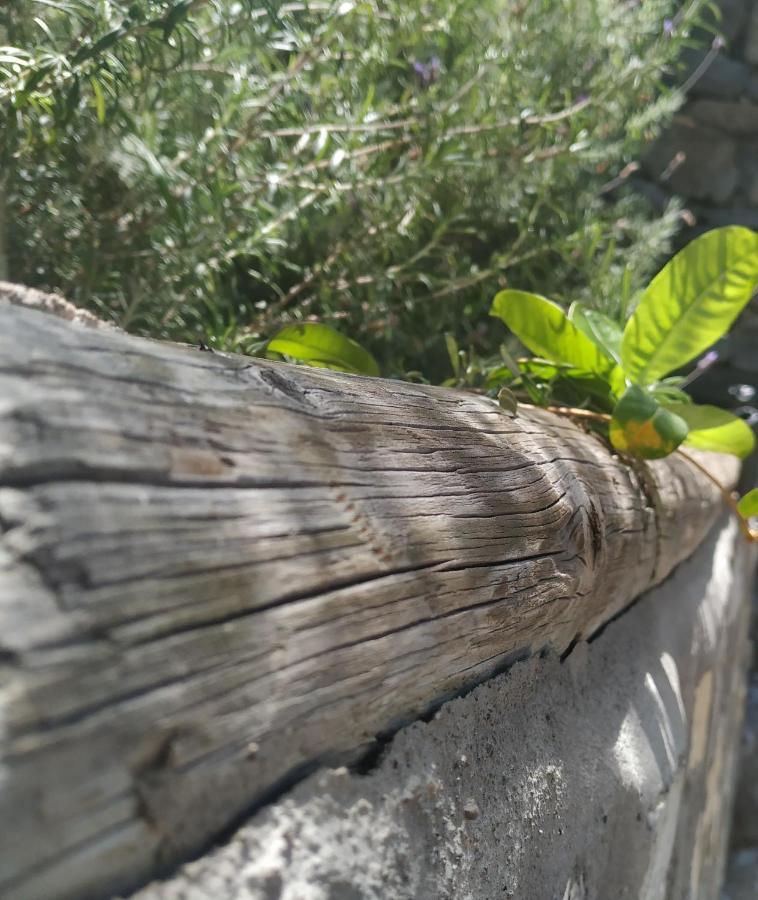 Finca La Ladera Valle Gran Rey Zewnętrze zdjęcie
